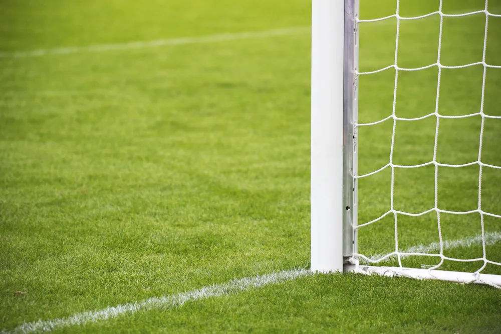 calcio generica palo linea campo shutterstock 493910521