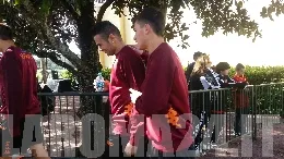 castan romagnoli profilo orlando 301212