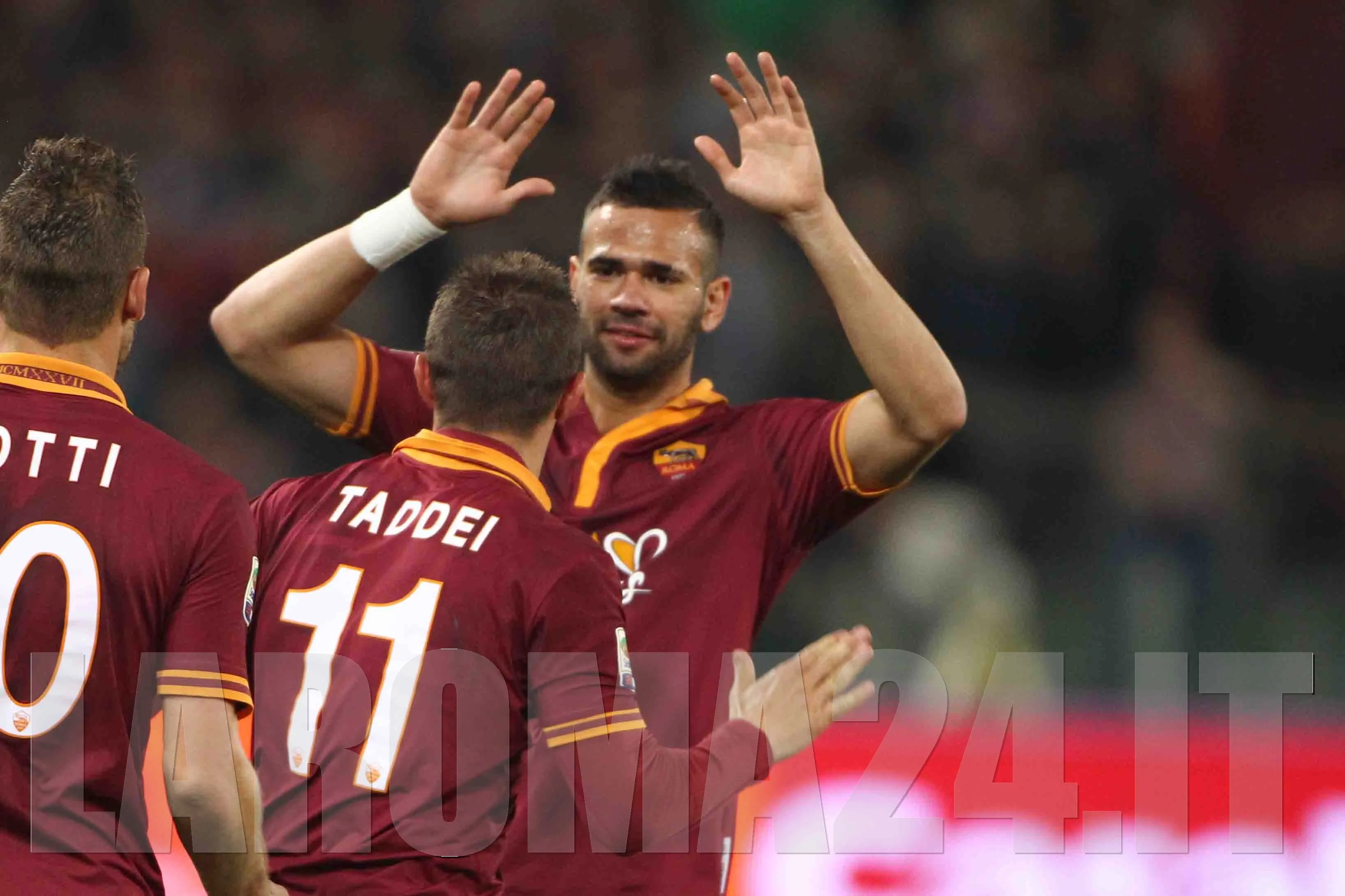 castan taddei gino