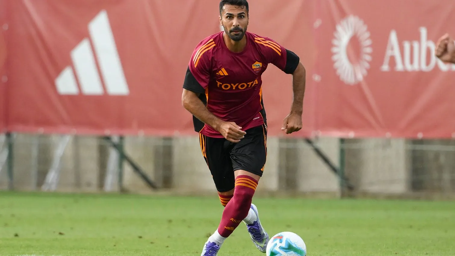 celik roma unipomezia