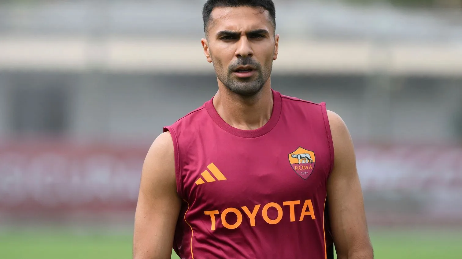 celik trigoria