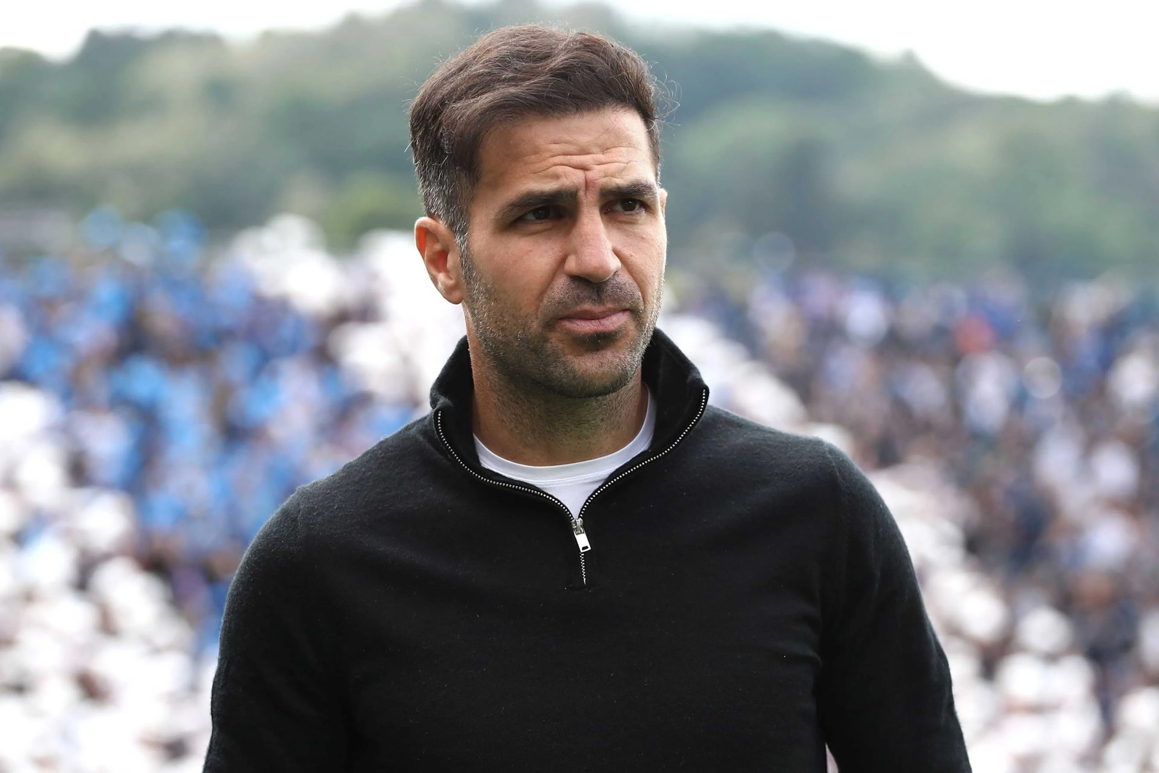 cesc fabregas 2