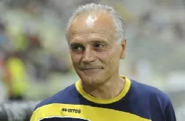 colomba