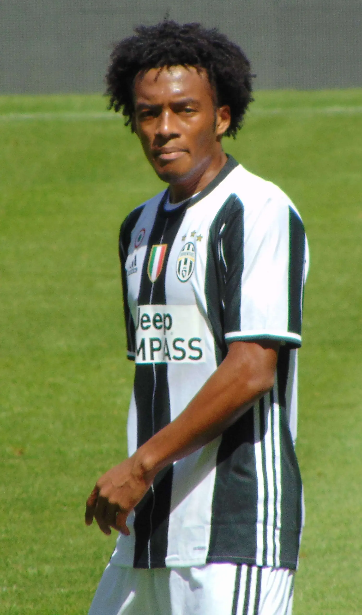 cuadrado 2017 cropped
