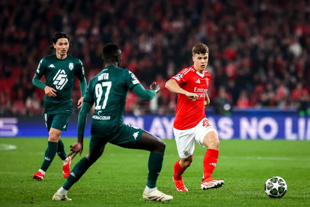 dahl benfica