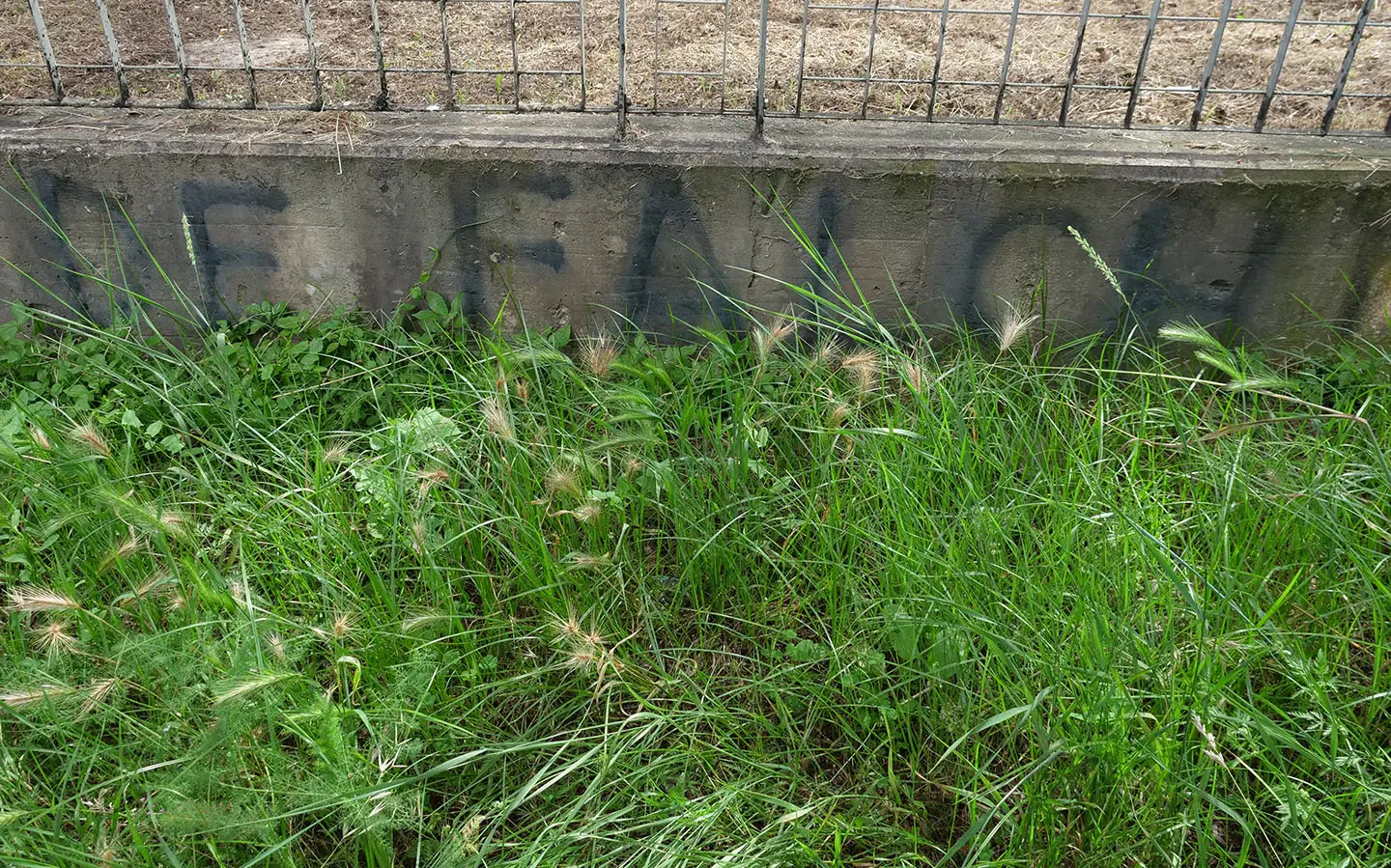 de falchi spray parco