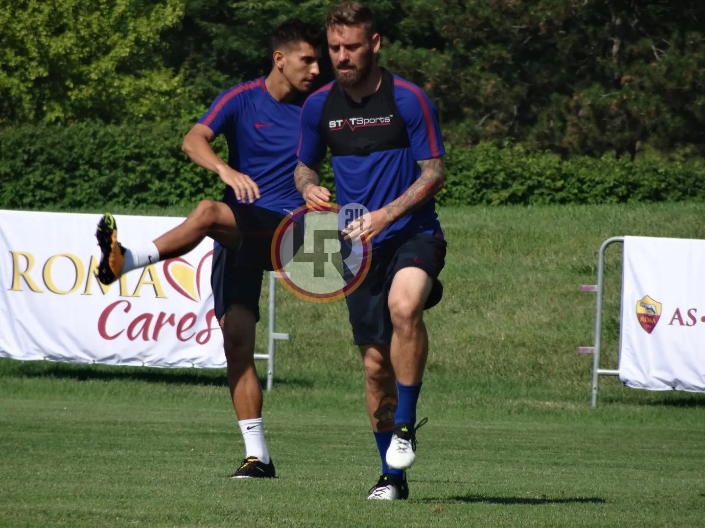 de rossi pellegrini