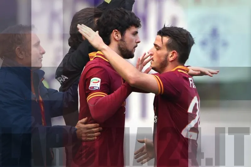 destroflorenzi