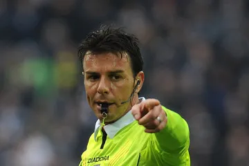 domenico celi enzxu1qryjnm