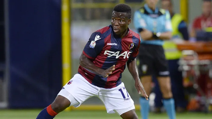 donsah bologna 1