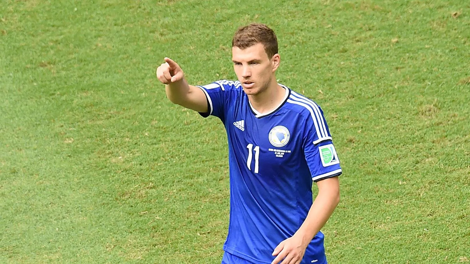 dzeko