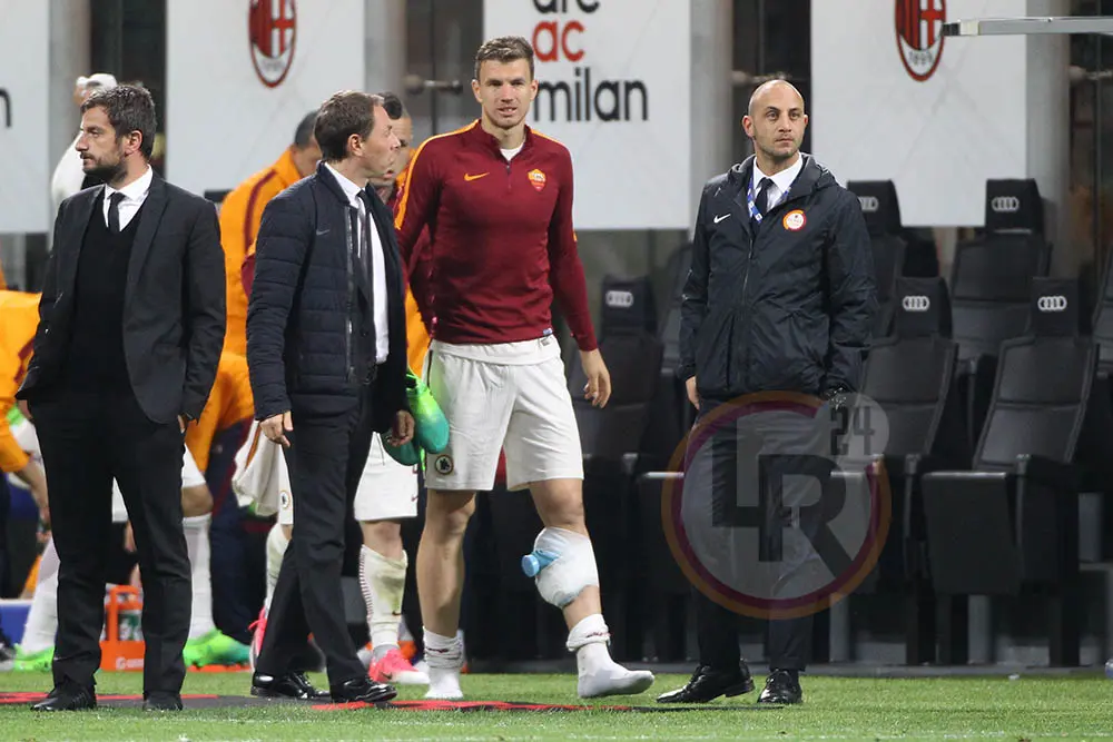 dzeko borsa del ghiaccio