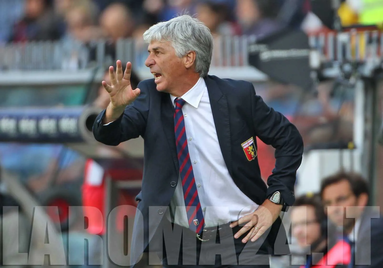 gasperini mezza figura mancini