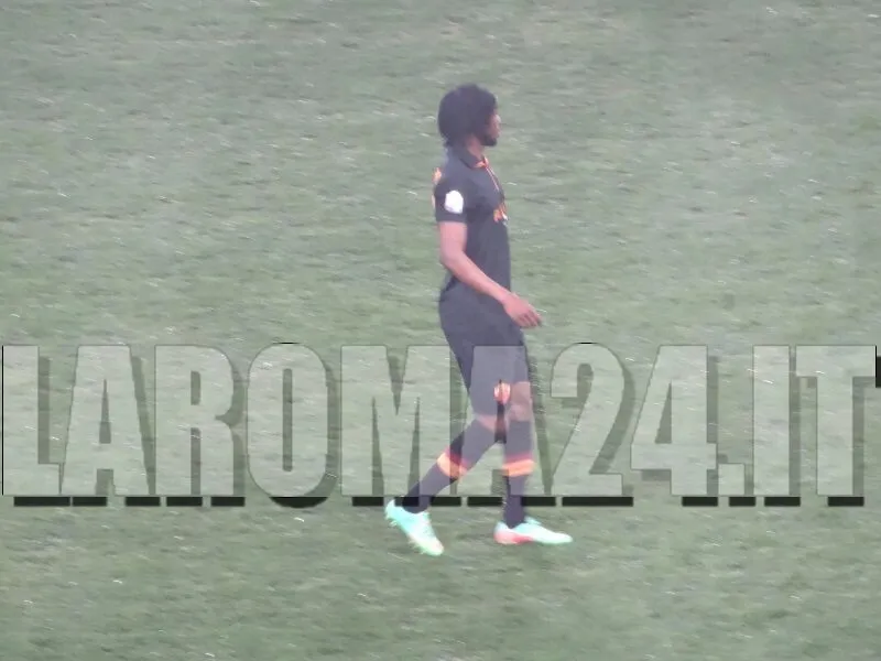gervinho vs napoli 5 2 14