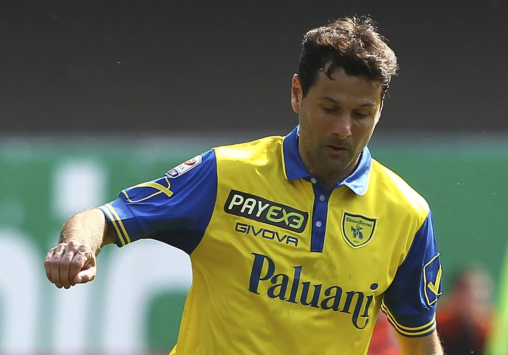 gobbi chievo verona