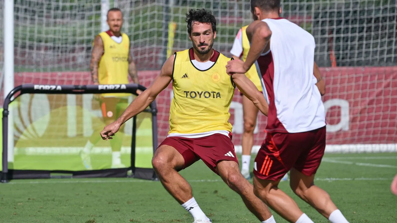 hummels