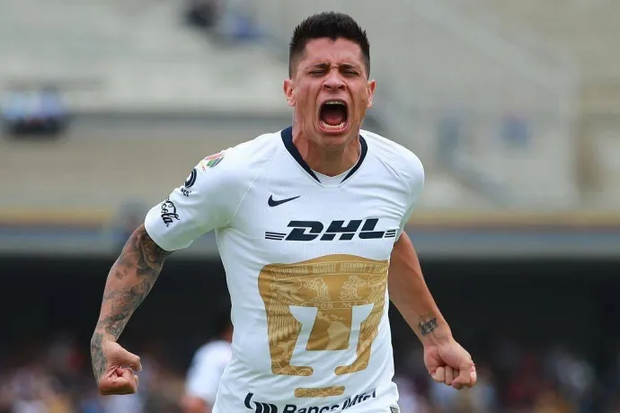 iturbe pumas