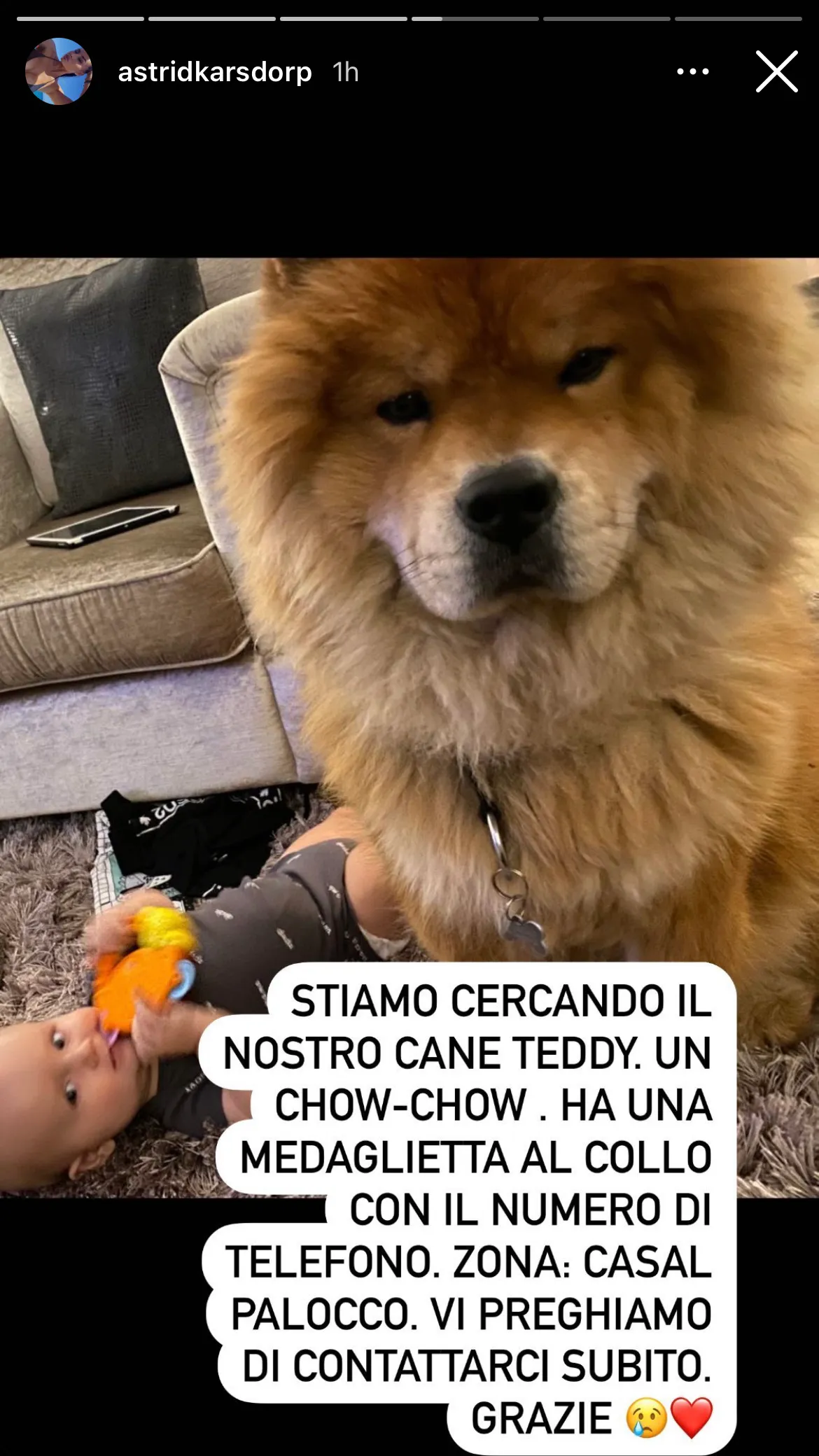 karsdorp moglie ig