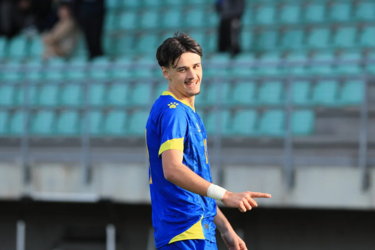 kerim alajbegovic