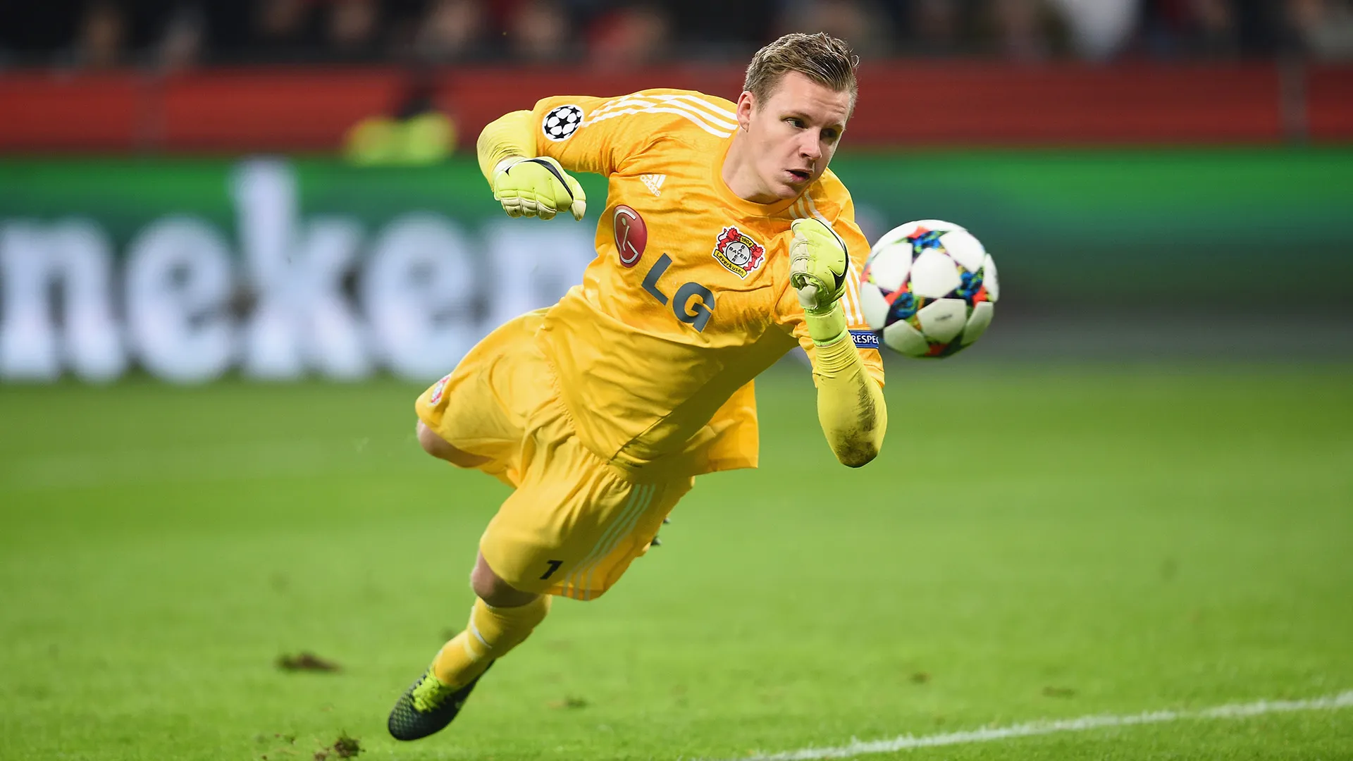 leno bayer