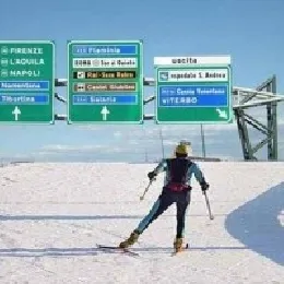 llorente neve 200 200