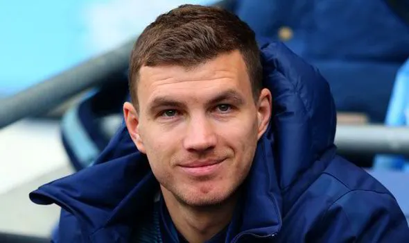 manchester city mcfc edin dzeko fenerbache edin dzeko fenerbache manuel pellegrini 555514