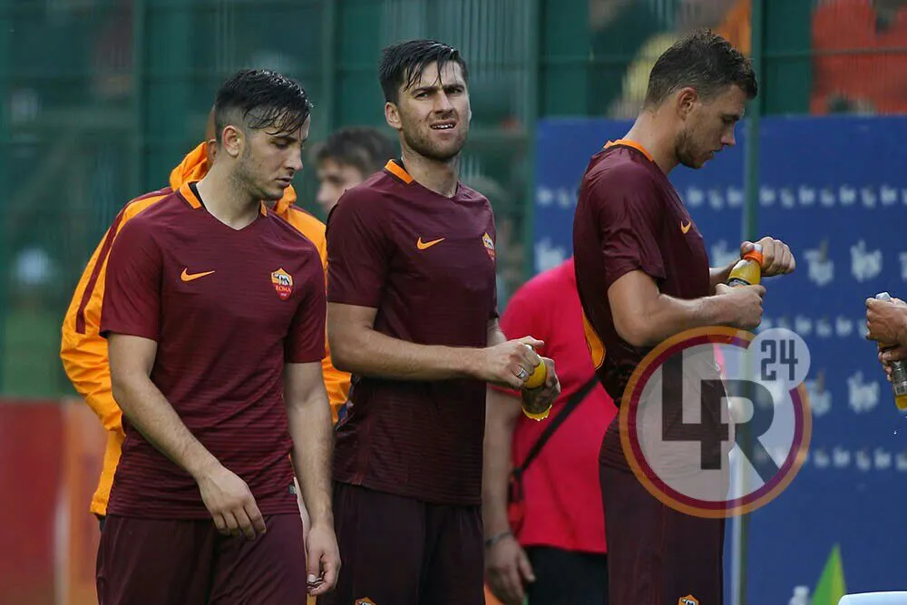 manolas zukanovic dzeko