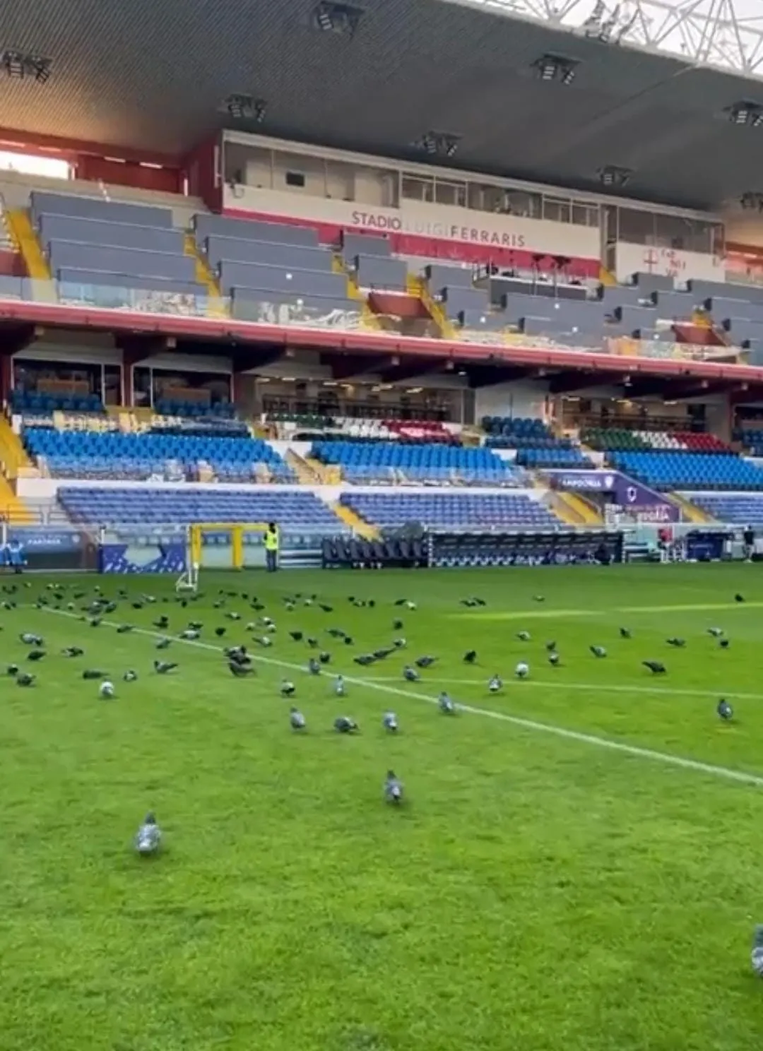 marassi campo piccioni samp roma
