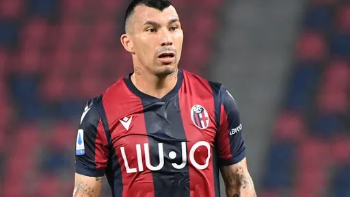 medel bologna
