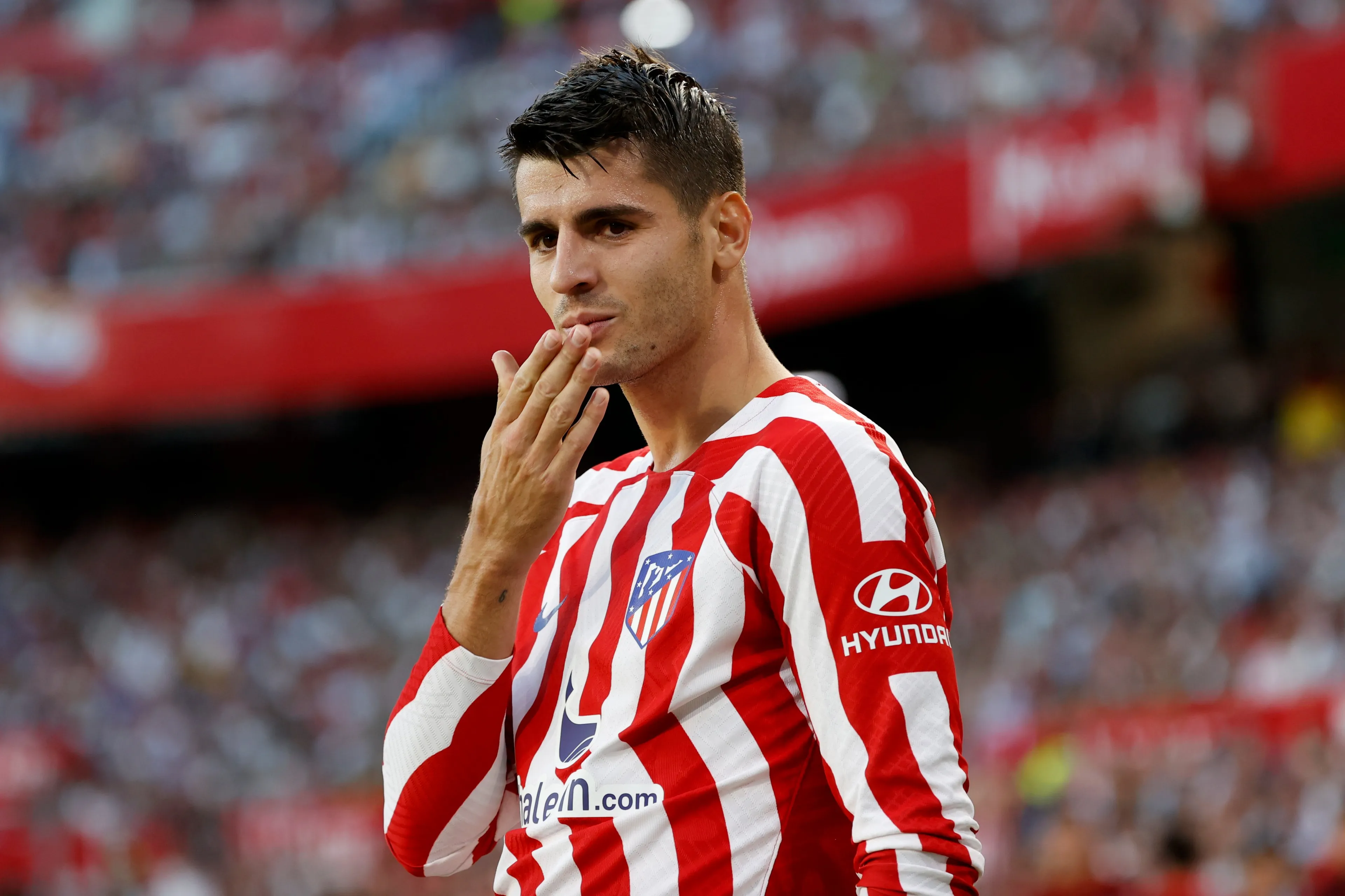 morata 2023