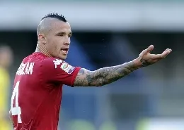 nainggolan cresta profilo