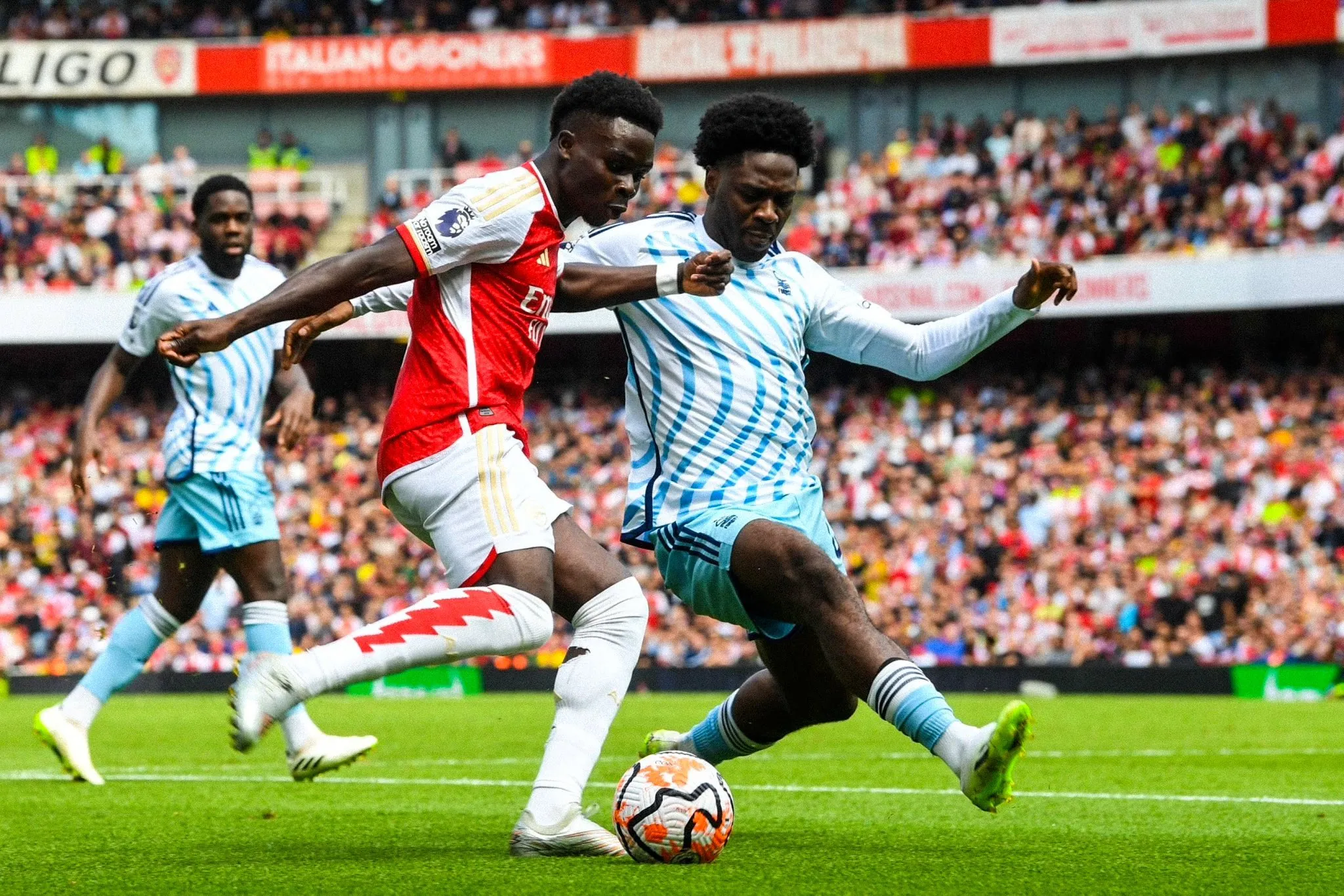 ola aina