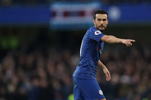 pedro chelsea