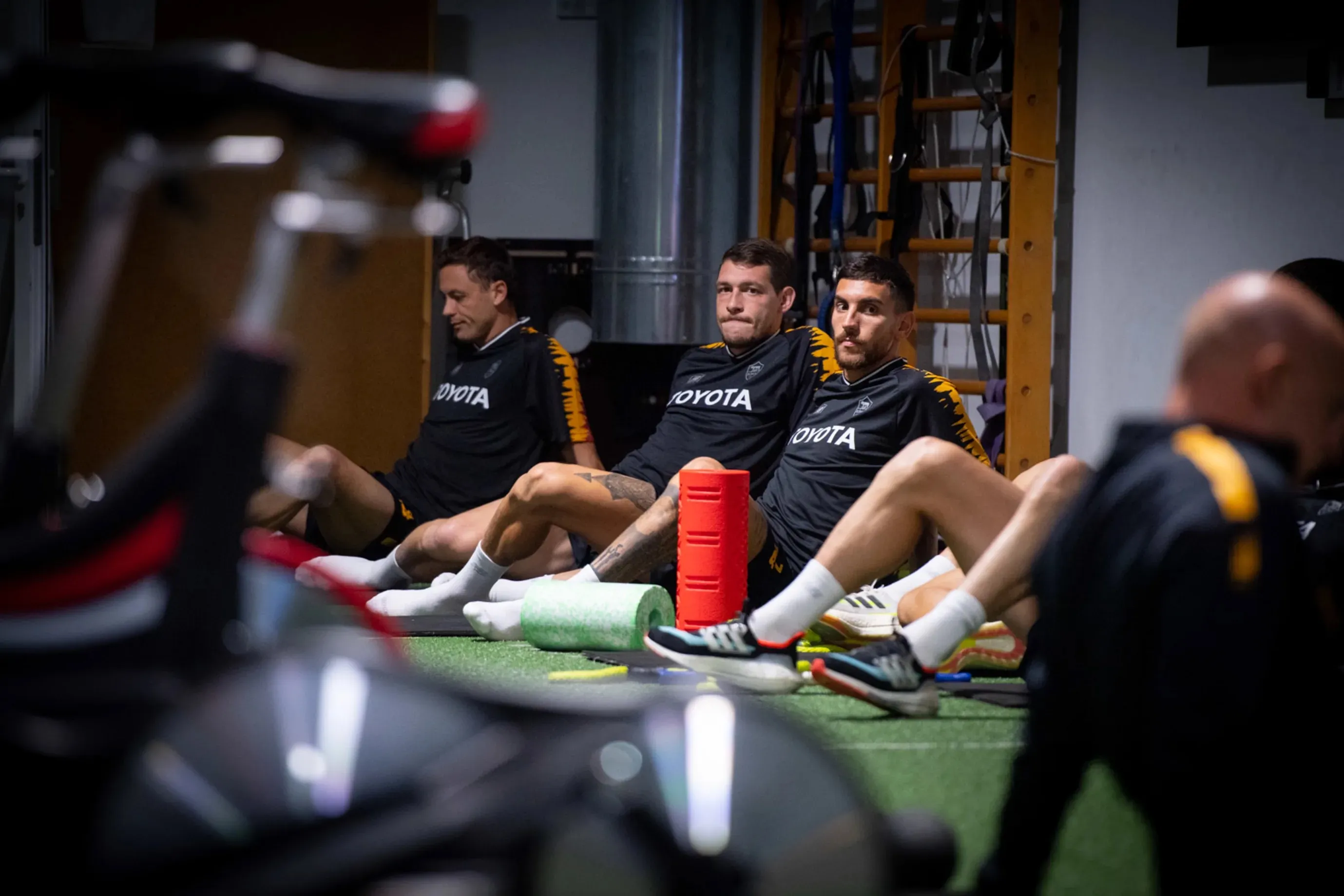 pellegrini belotti palestra