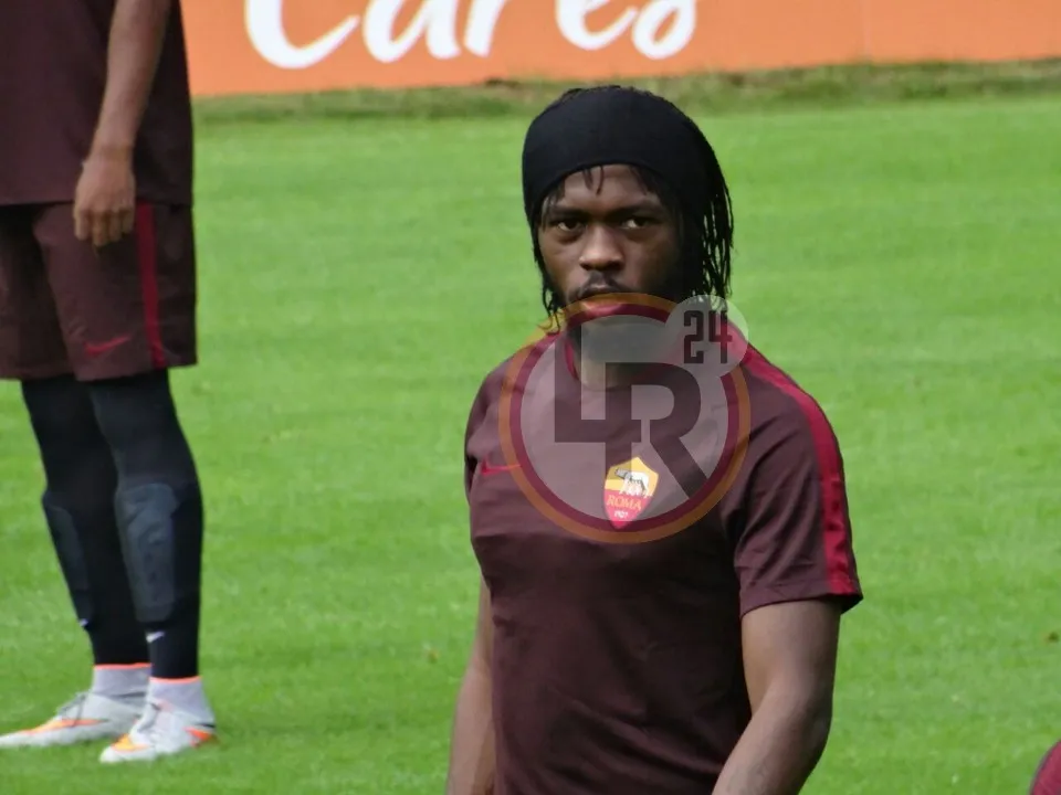 pinzolo gervinho pp lr24