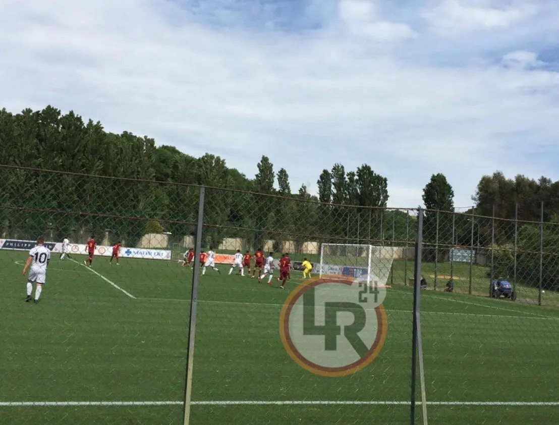 primavera roma latina lr24
