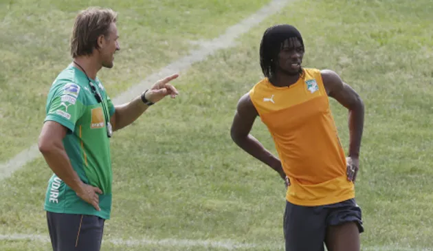 renard gervinho costa davorio