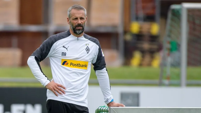 rose gladbach