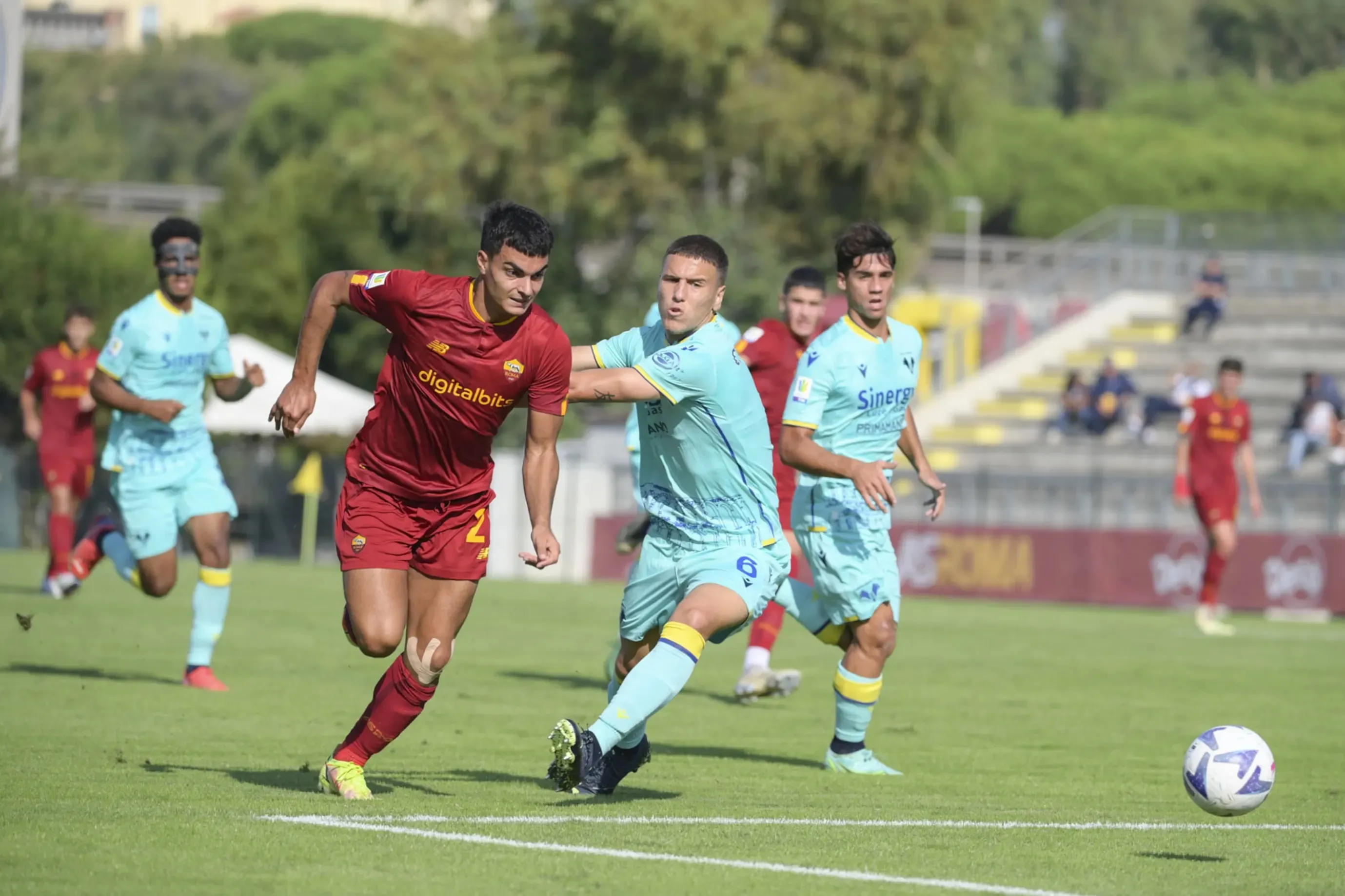 satriano roma verona