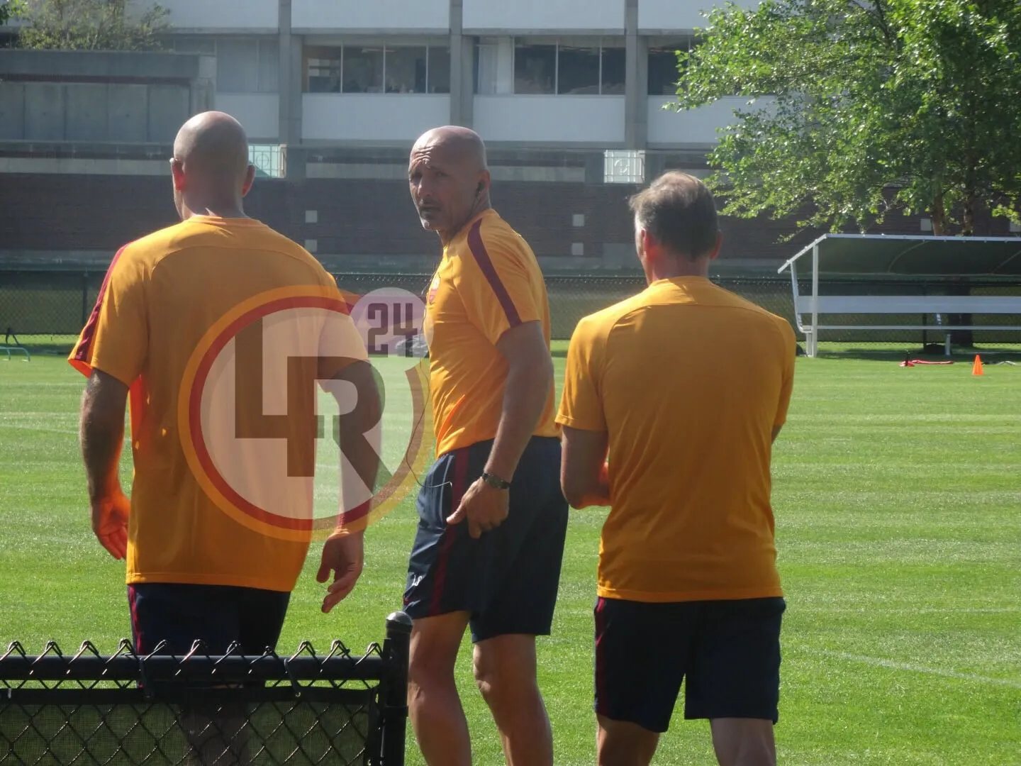 spalletti cambo harvard lr24