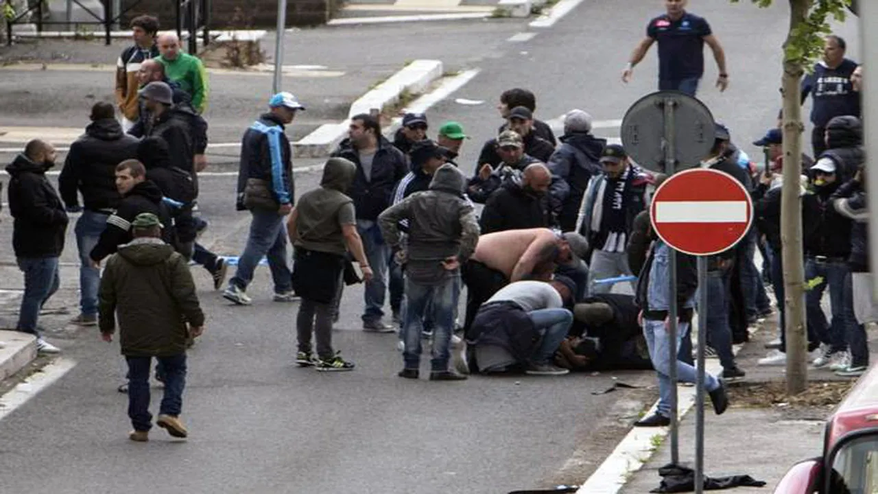 stadio 12