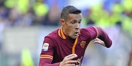 taddei 3