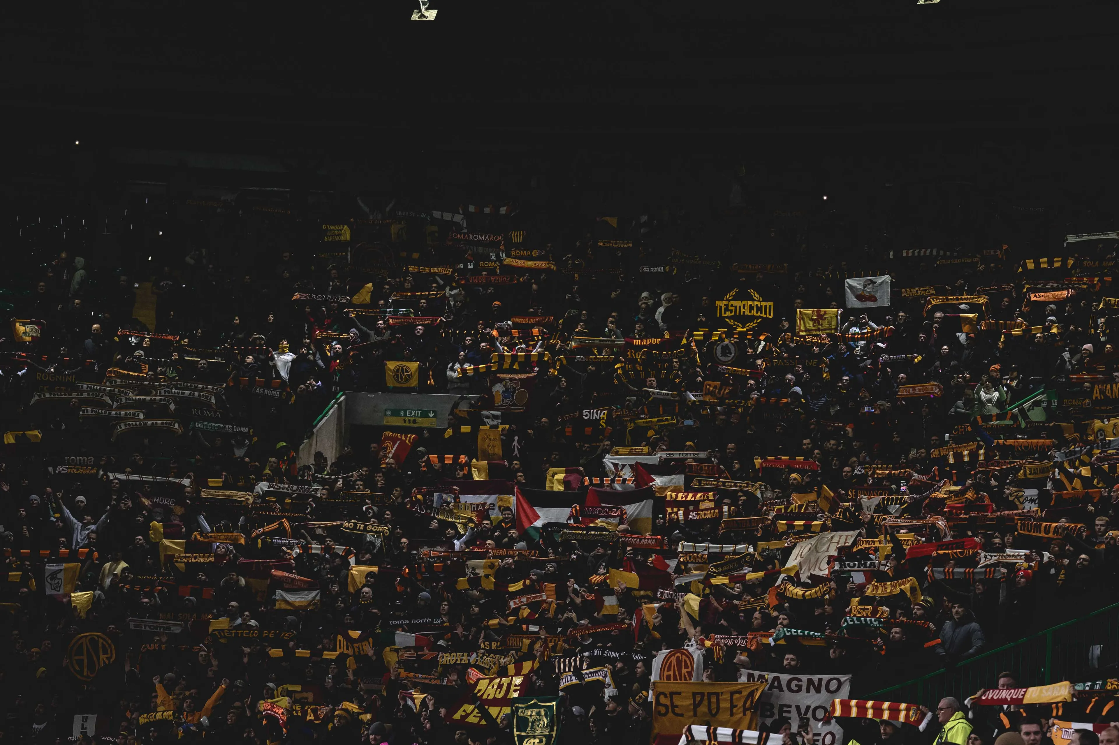 tifosi 1