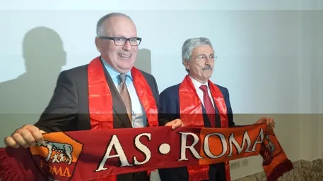 timmermans dalema