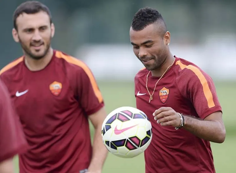 torosidis dietro cole