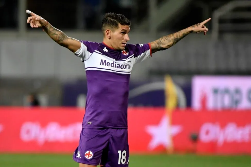 torreira