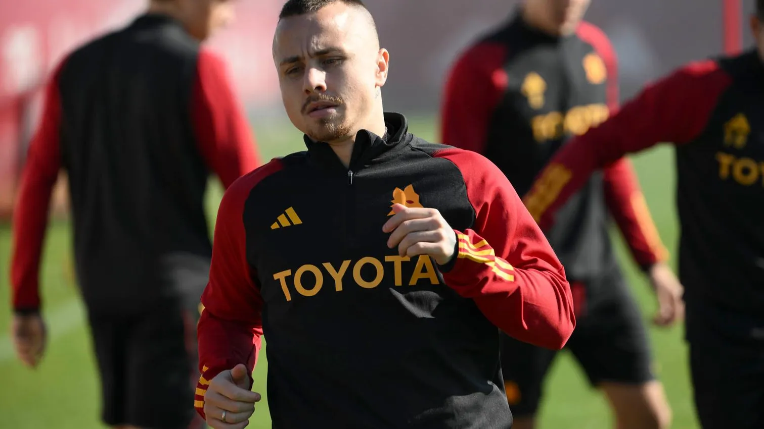 trigoria angelino 1