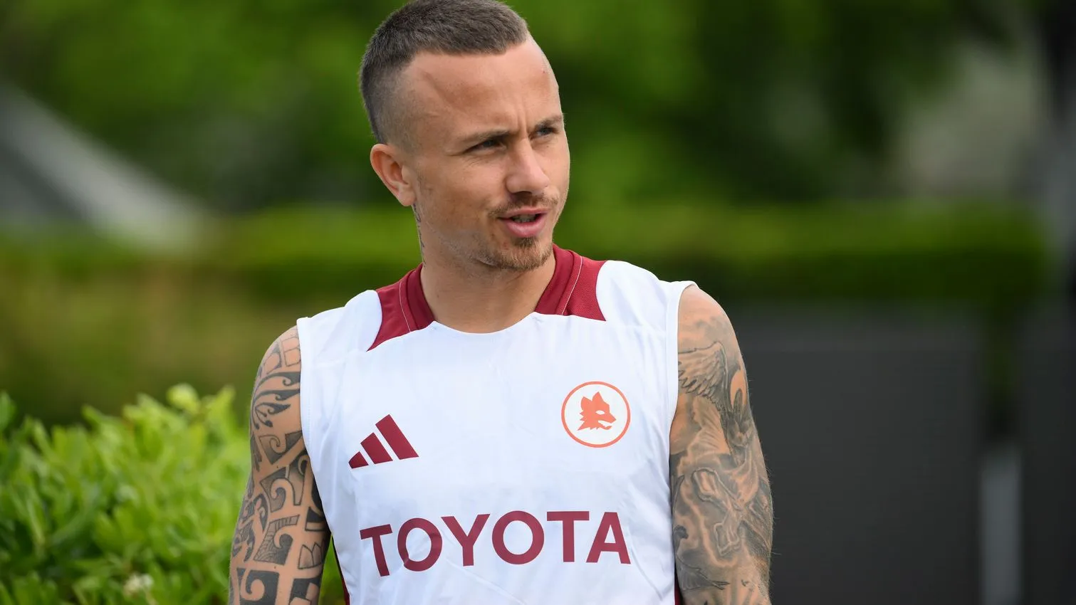 trigoria angelino 1