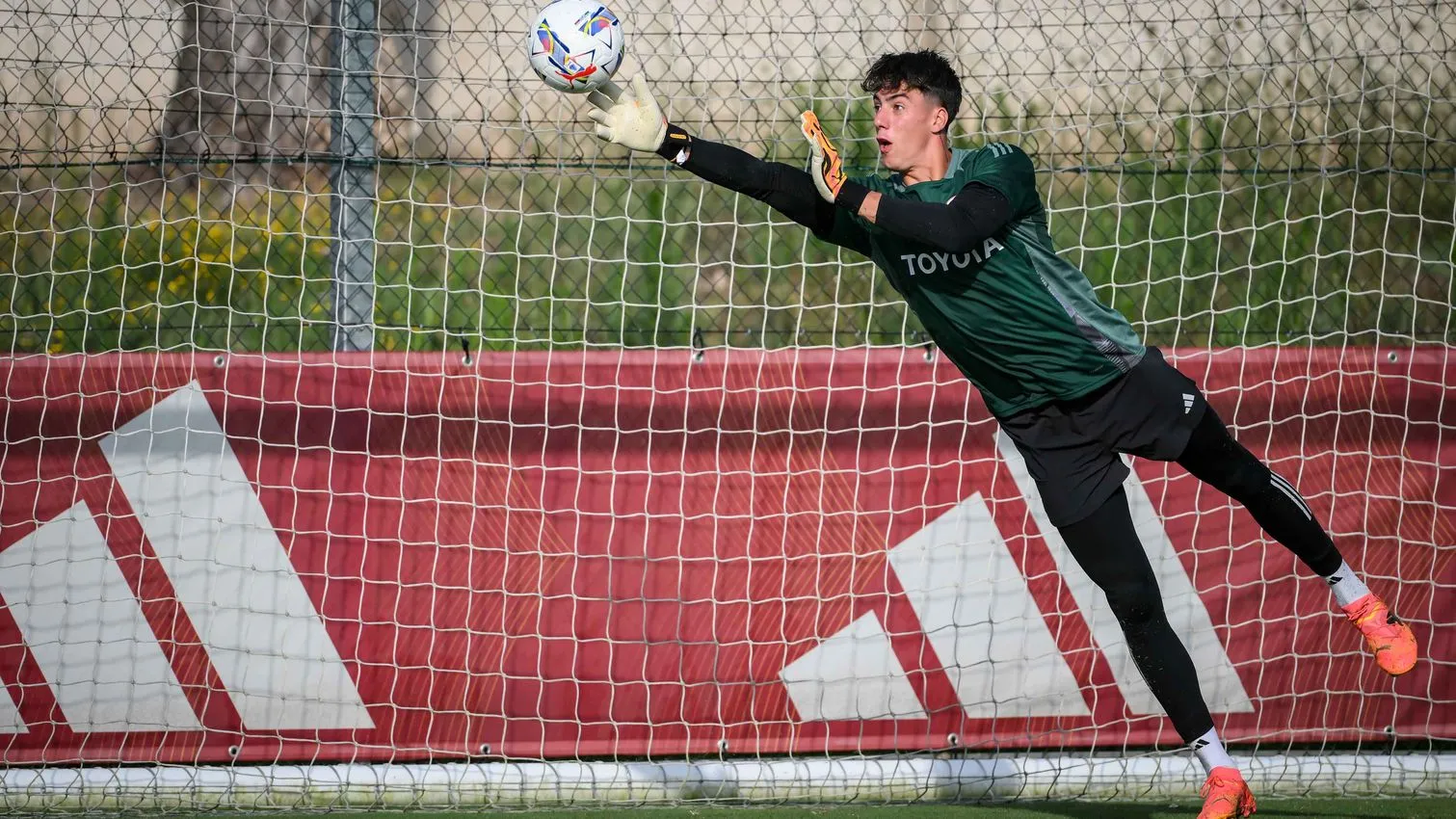 trigoria mastrantonio