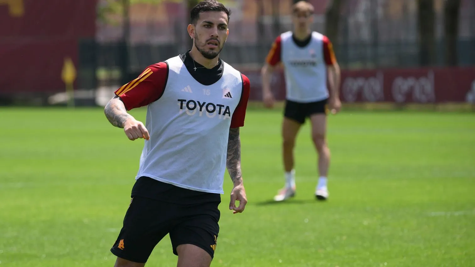 trigoria paredes 1